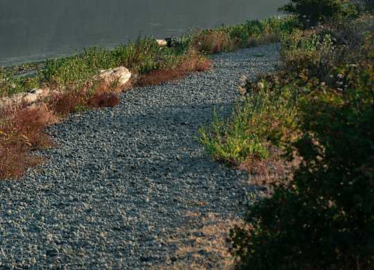 A gravel path leads through a grassy area to a body of water.