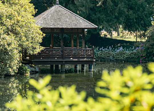 A gazebo sits on a wooden platform in the middle of a lake.