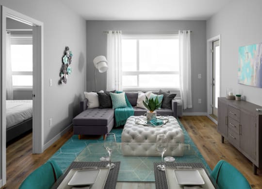 a living room with gray walls and a teal rug