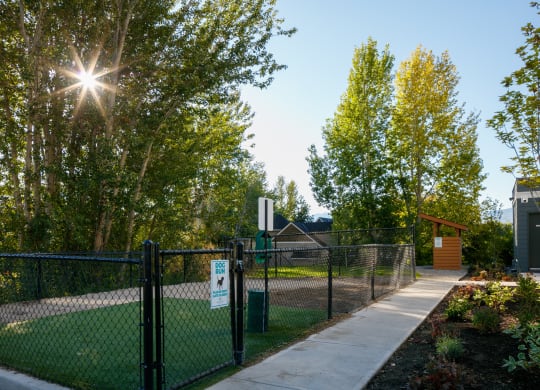 a fenced in dog park with a house and trees in the background