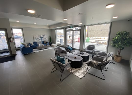 a lobby with couches and chairs and a rug with a tree in the corner