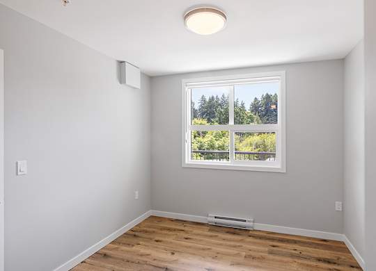 A room with a window showing trees outside.