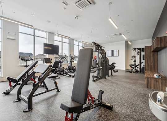 A gym with a variety of equipment including a bench press, a squat rack, and a rowing machine.