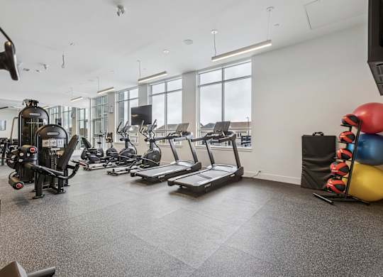 A gym with treadmills, weights, and exercise balls.