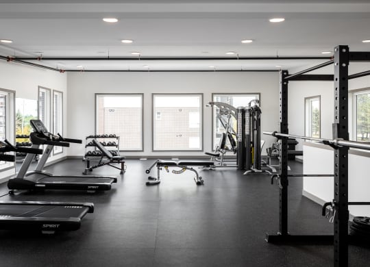 a large fitness room with treadmills and other exercise equipment