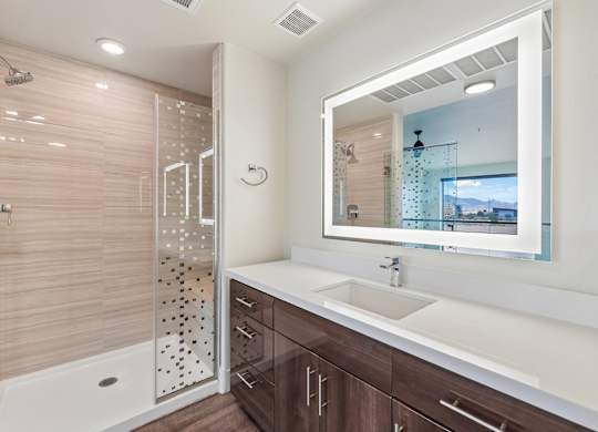 A bathroom with a walk-in shower, a sink, and a large mirror.