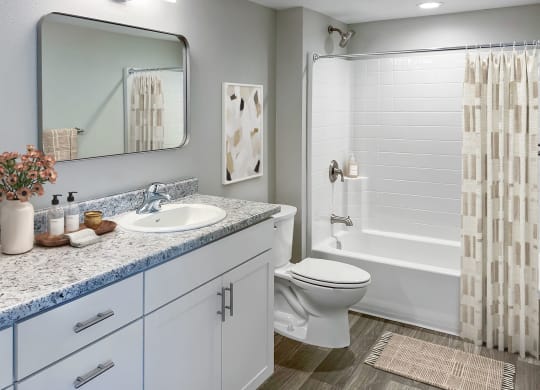 Bathroom With Bathtub at Regency Park, Nevada, 89509