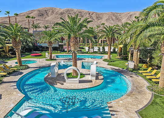 A large swimming pool surrounded by palm trees.