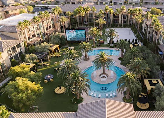 A pool surrounded by palm trees and a screen in the middle.