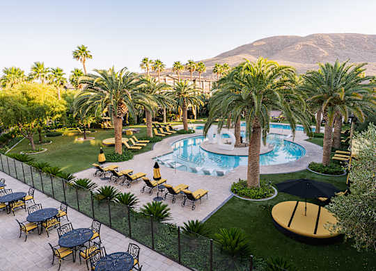 A pool surrounded by palm trees and lounge chairs.