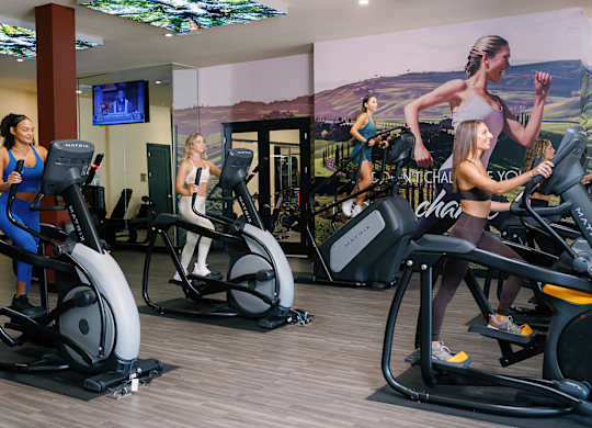 A group of people are exercising on elliptical machines in a gym.