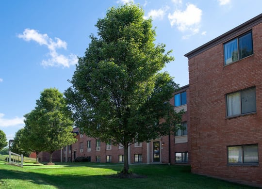 a tree in front of a brick building at Monroeville Apartments, Monroeville, PA