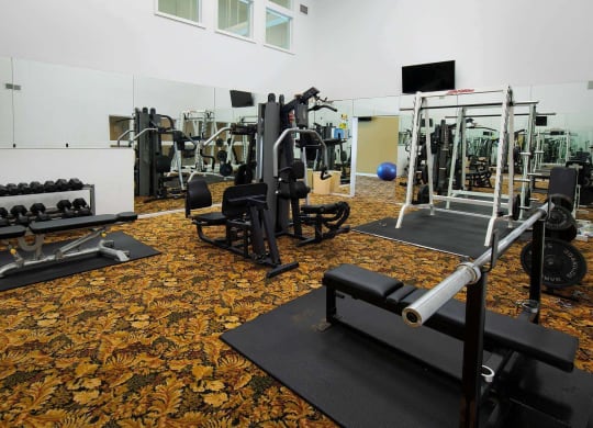 a gym with weights and cardio equipment at Monroeville Apartments, Monroeville, PA, 15146