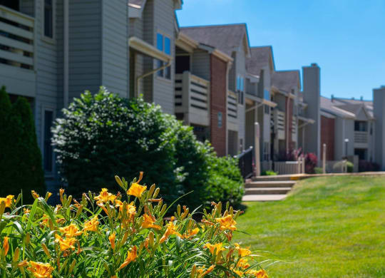 a row of townhomes with grass and flowers in the foreground at Monroeville Apartments, Monroeville, 15146