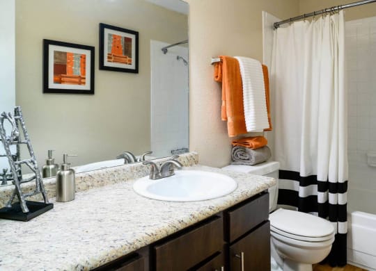 Bathroom Accessories at Park at Voss Apartments, The Barvin Group, Houston