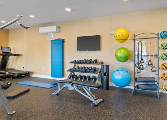 A gym with a variety of equipment including weights, a treadmill, and a rowing machine.