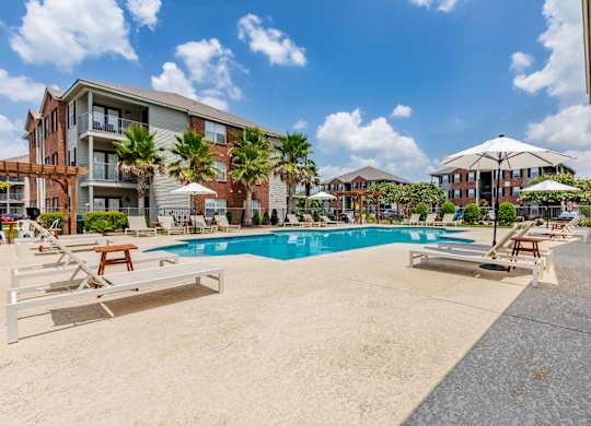 A large swimming pool surrounded by sun loungers and palm trees.