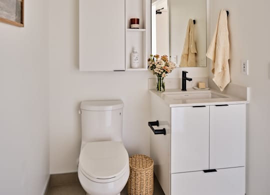 A white toilet sits next to a white cabinet with a mirror above it.