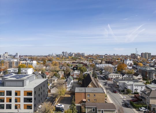 the view of the city from the roof of a building