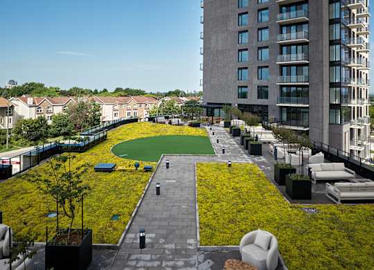 A large grassy area with yellow flowers in the foreground and a building in the background.