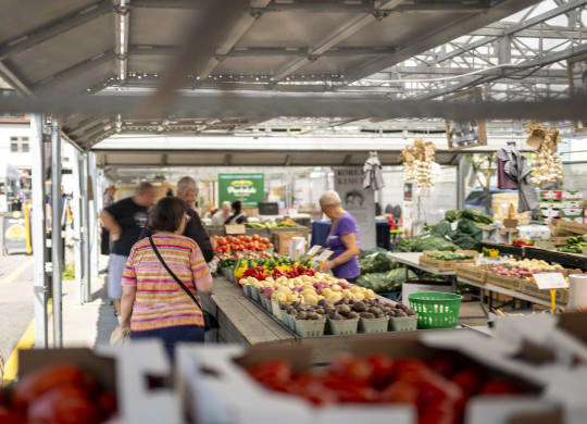 people shopping at a fruit and vegetable market