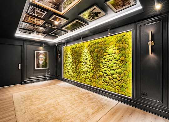 A room with a green wallpaper and a wooden floor at Chateau on Wells, Illinois