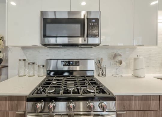 Modern appliances, gas range stove at Chateau on Wells, Chicago