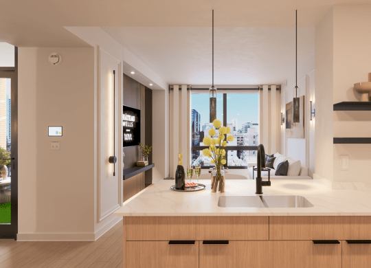 a kitchen with a sink and a window at Chateau on Wells, Illinois, 60654