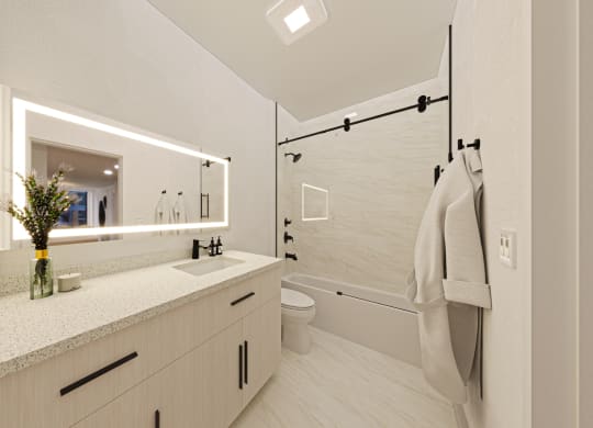a bathroom with a sink and a mirror and a shower at Chateau on Wells, Illinois