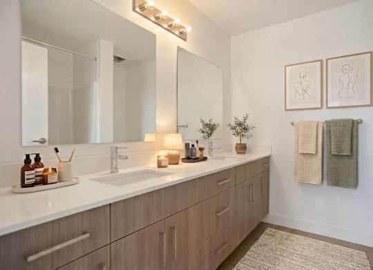 A bathroom with a white countertop and a mirror above it.
