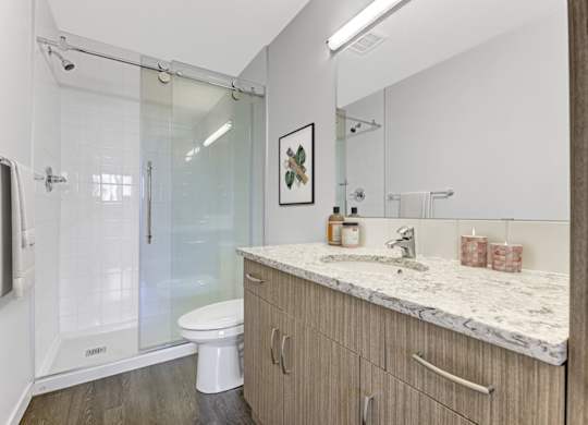 A bathroom with a marble countertop and a walk-in shower.