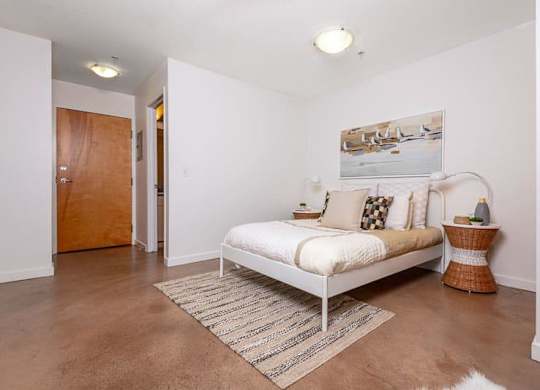 a bedroom with a bed and a rug