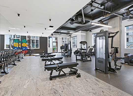 A gym with a variety of equipment including treadmills, weights, and benches.