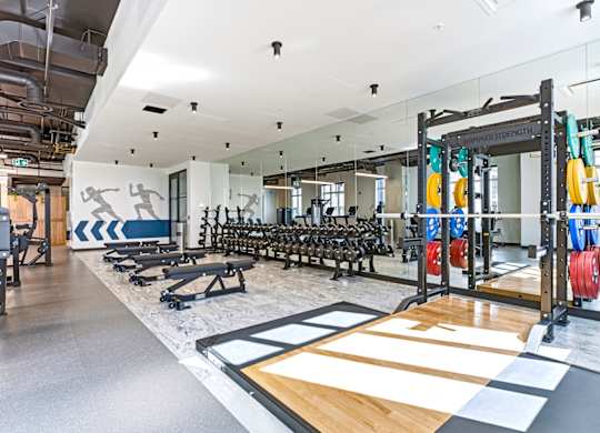 A gym with a variety of equipment including weights and weight machines.