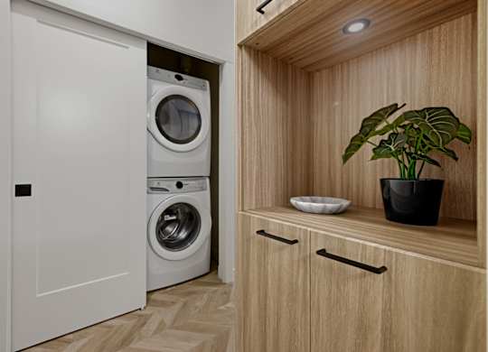A white washing machine is in a small laundry room with a wooden cabinet and a plant.