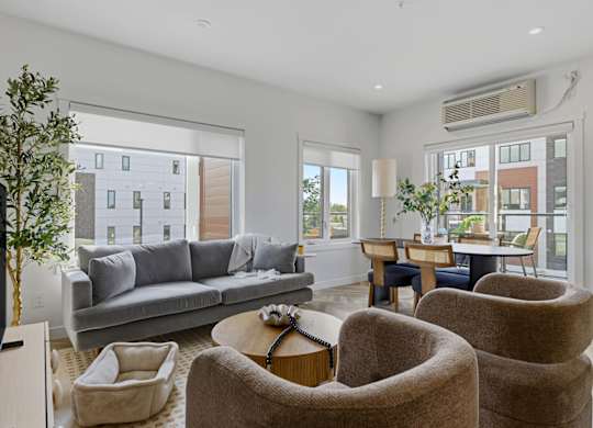 A living room with a grey couch, a coffee table, and a potted plant.