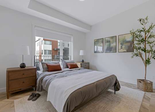 A bedroom with a large bed, a nightstand, and a plant.