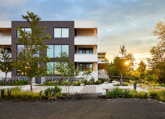 A modern building with a tree in front of it.