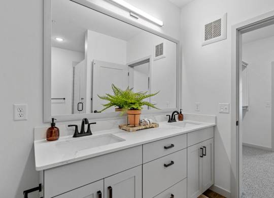 A bathroom with a white counter and a potted plant on it.