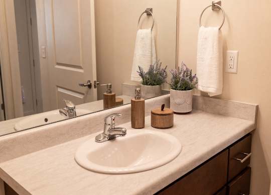 Four Seasons Logan Apartments and Townhomes Sink in Bathroom