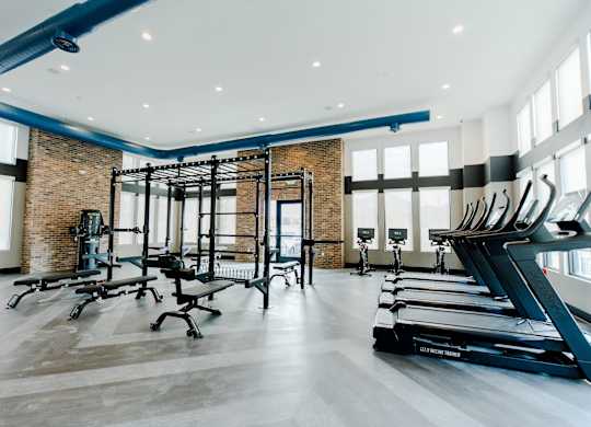 A gym with treadmills, weights and exercise equipment.