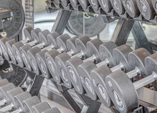 A set of dumbbells are lined up on a rack.
