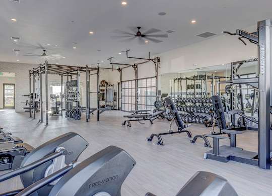 A gym with a variety of equipment including treadmills, weights, and a rowing machine.