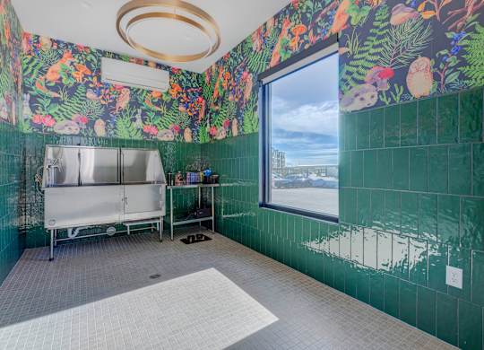 A kitchen with a green tiled wall and a floral wallpaper.
