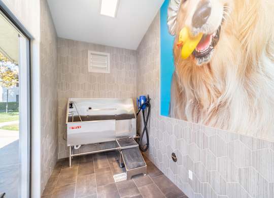 A dog grooming station with a large image of a golden retriever on the wall. at Chaparral Apartments, Palmdale, CA