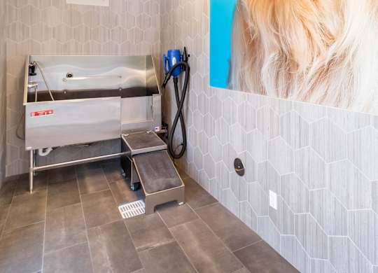 A dog is shown on a poster in a bathroom with a yellow rubber duck in its mouth. at Chaparral Apartments, Palmdale