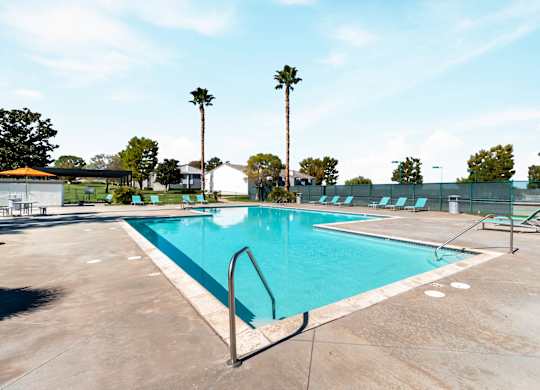 A large outdoor swimming pool surrounded by palm trees at Chaparral Apartments, Palmdale 93551