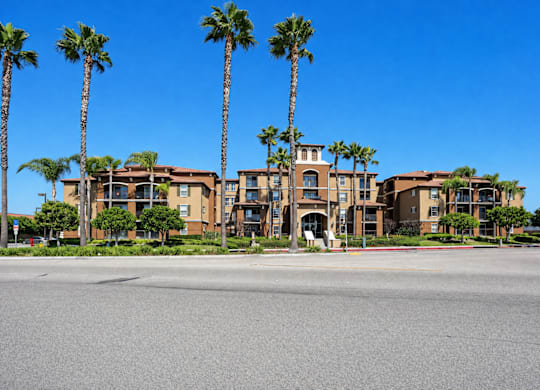 A row of palm trees in front of a building.
