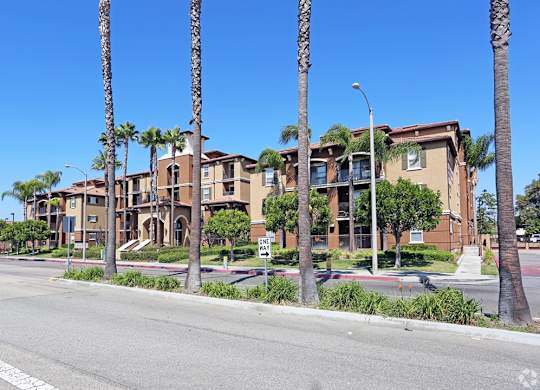 A street view of a residential area with palm trees and apartment buildings.