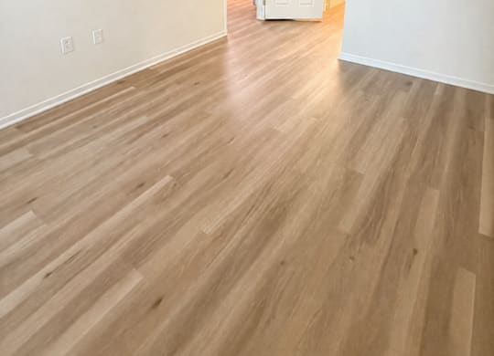 A room with wooden flooring and a white door.